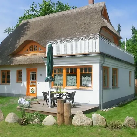 Boddenfrosch * Wieck